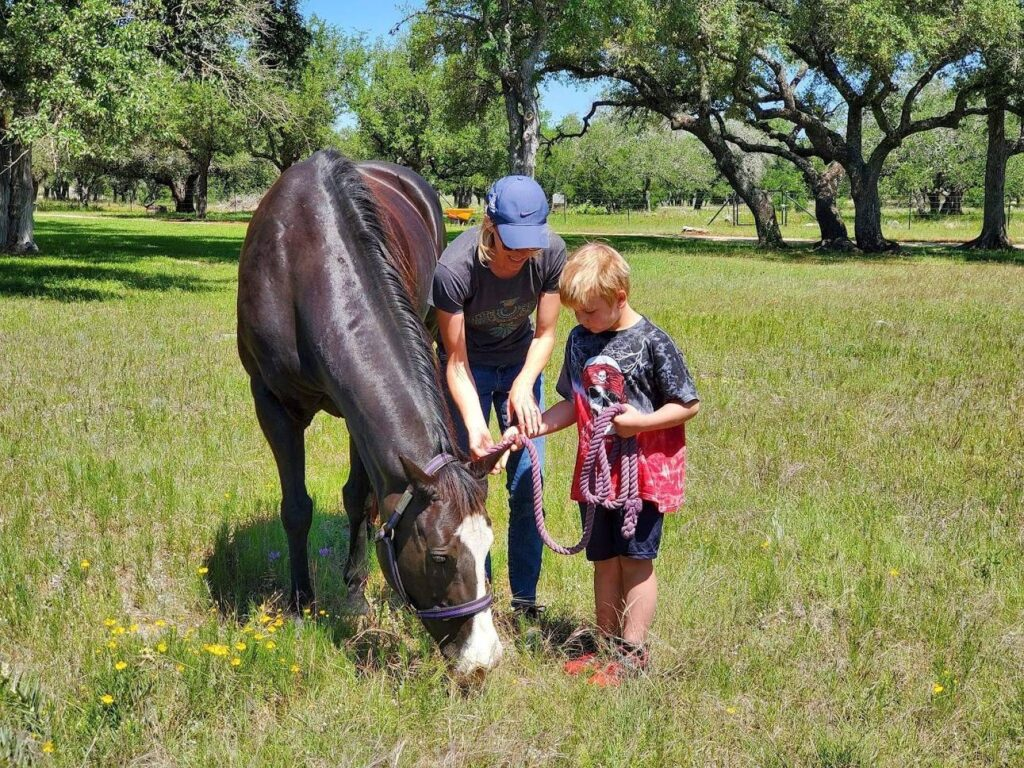 Horse groundwork training with handler and lead rope
