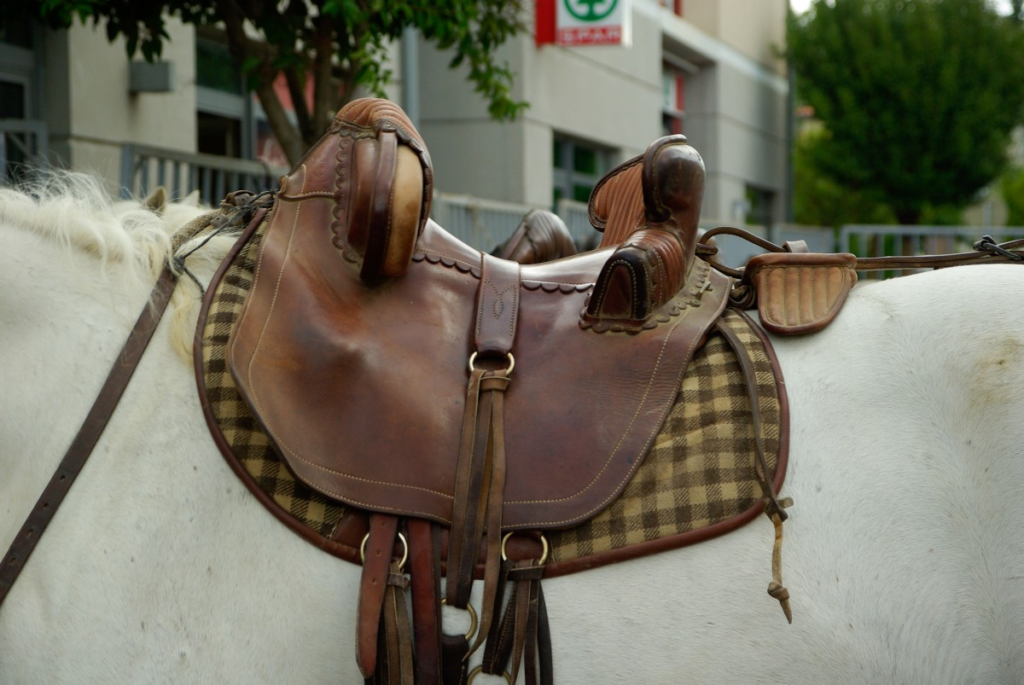 Horse gear and equestrian equipment in professional tack room